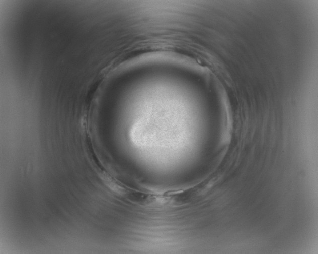 X0000068850329200605191958