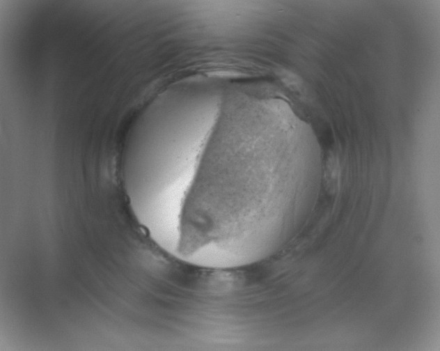 X0000068850330200605191958