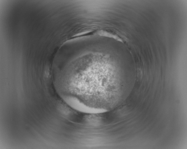 X0000068850331200605191958