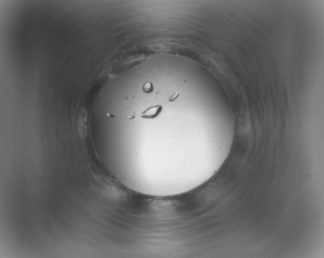 X0000068850332200605191958