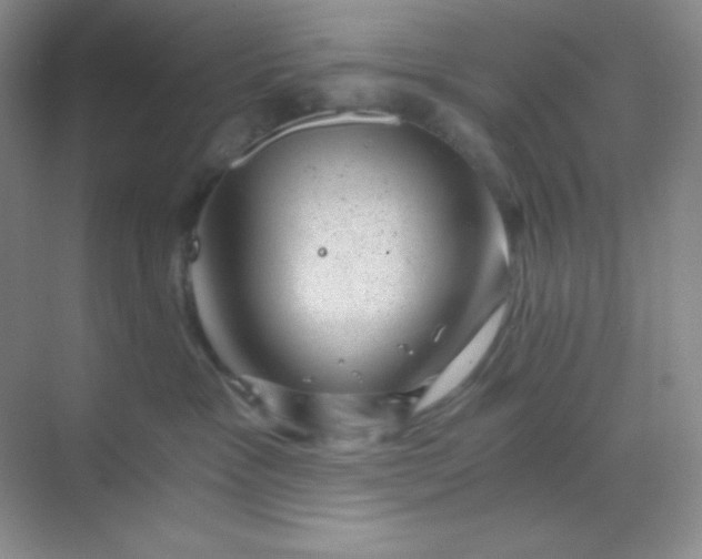 X0000068850333200605191958