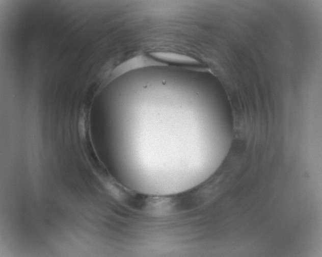 X0000068850334200605191958