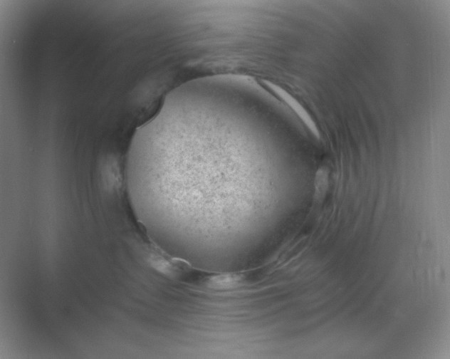 X0000068850335200605191958