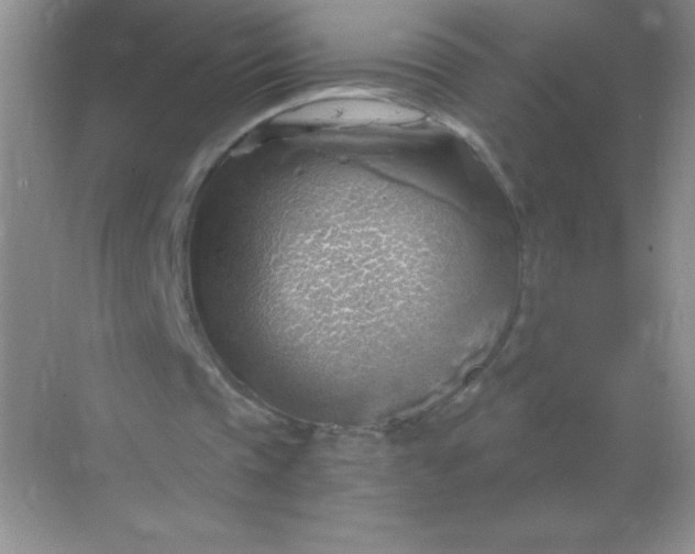 X0000068850337200605191957