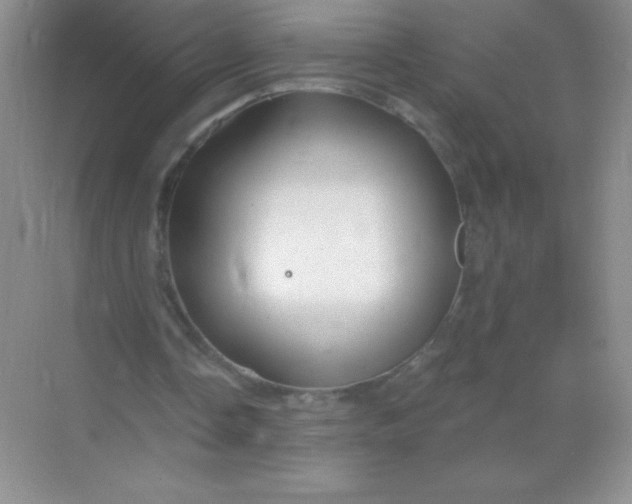 X0000068850338200605191957