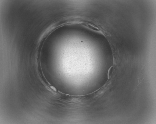 X0000068850341200605191957