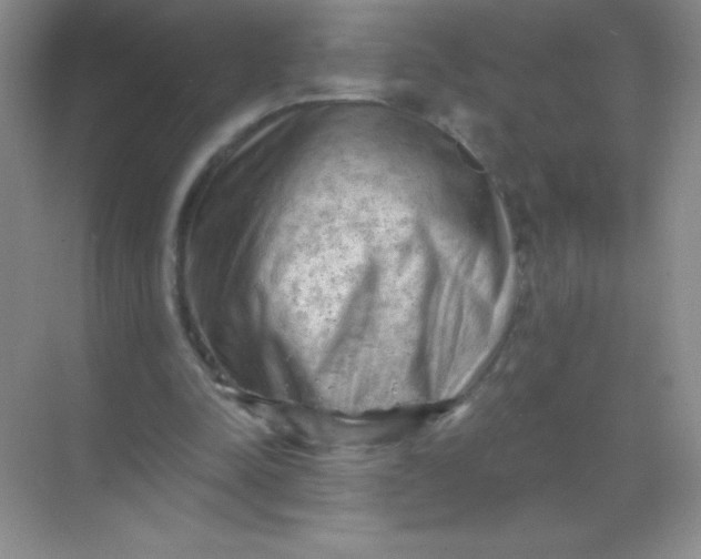 X0000068850342200605191957