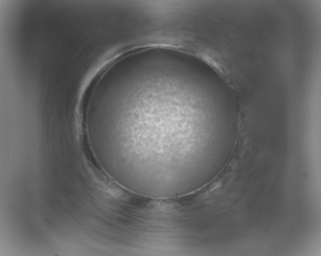 X0000068850343200605191957