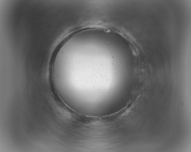 X0000068850344200605191957