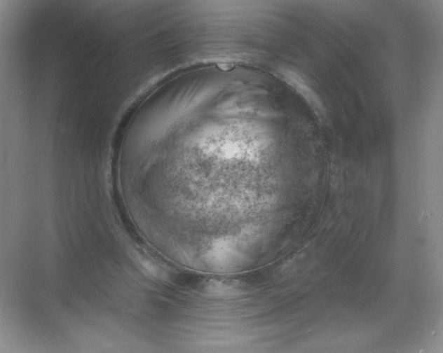 X0000068850346200605191957