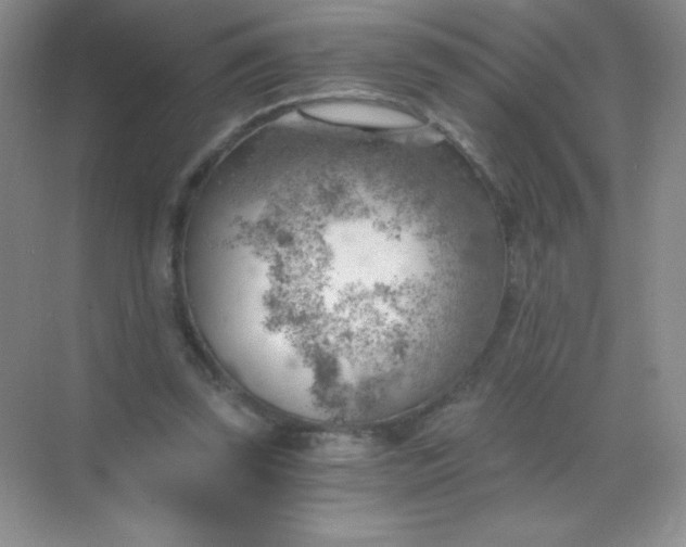 X0000068850347200605191957