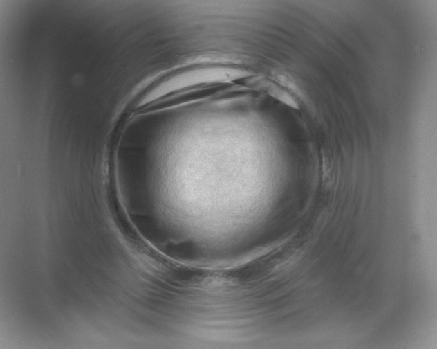 X0000068850348200605191957