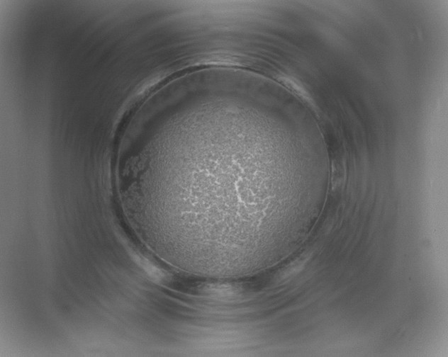 X0000068850349200605191957