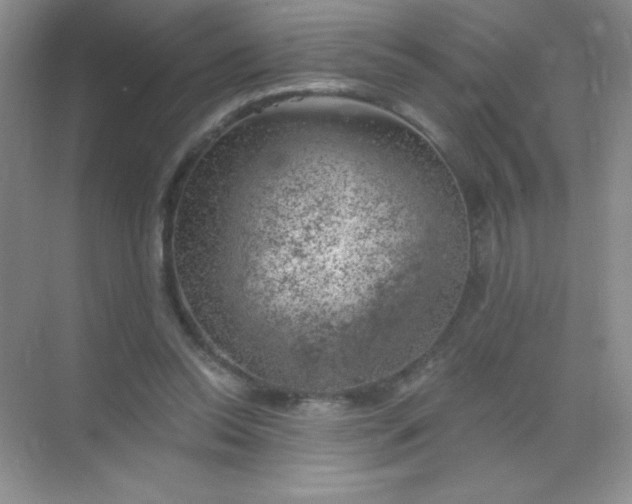 X0000068850350200605191957