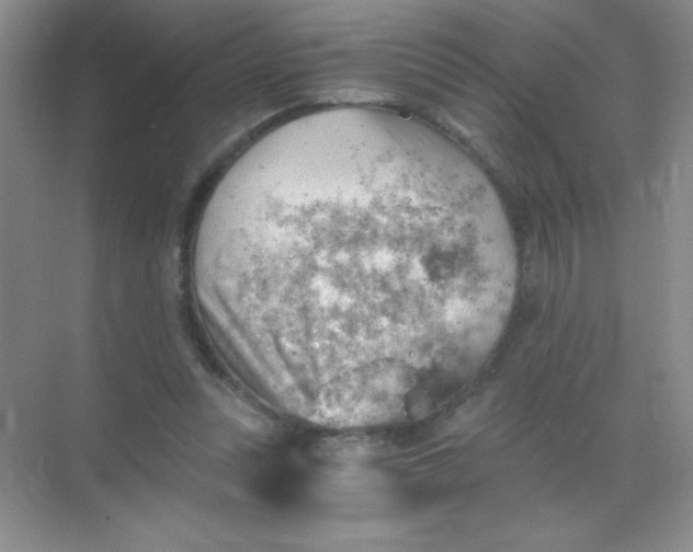 X0000068850351200605191957