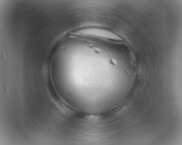 X0000068850352200605191957