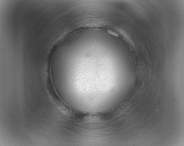 X0000068850354200605191957