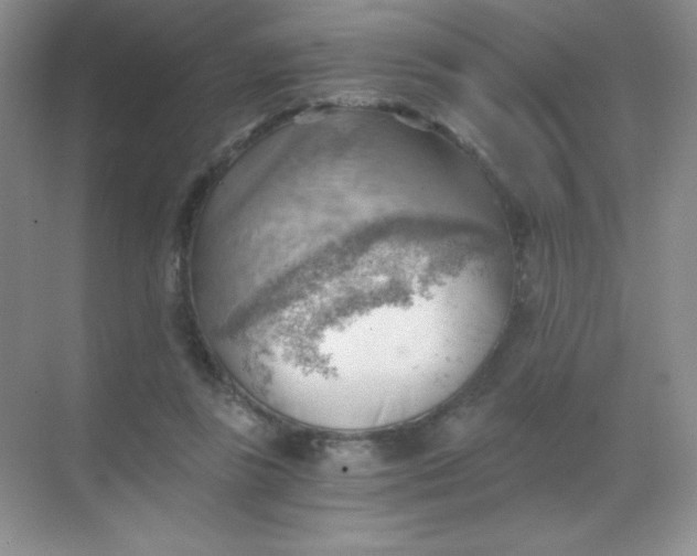 X0000068850355200605191957