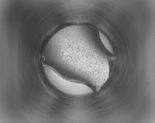 X0000068850356200605191957