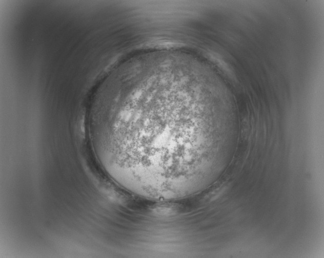 X0000068850358200605191957