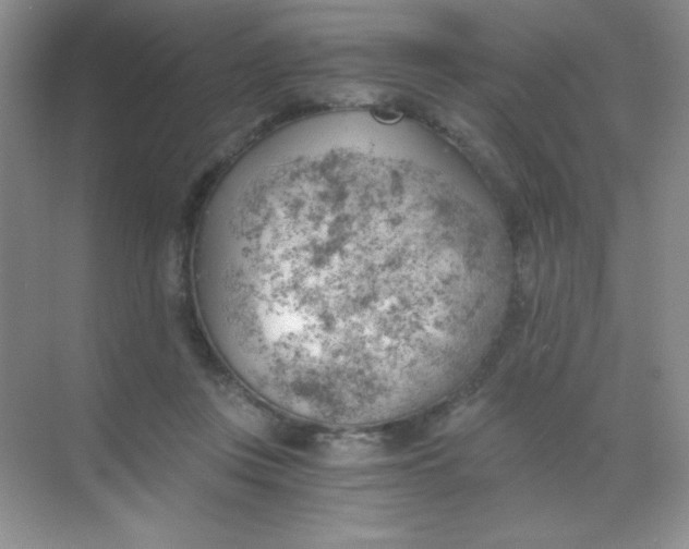 X0000068850359200605191957