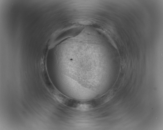 X0000068850360200605191957