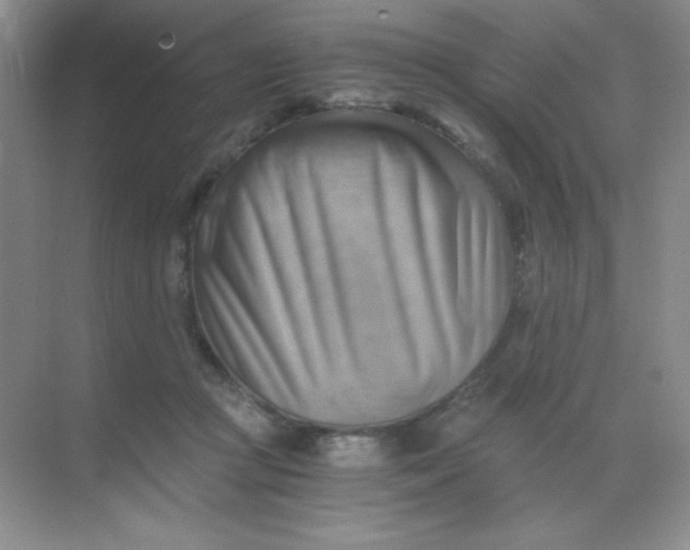 X0000068850361200605191957