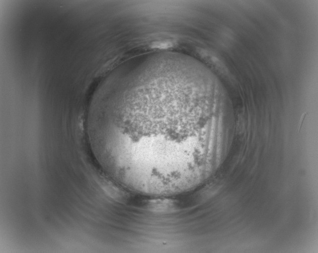 X0000068850363200605191957