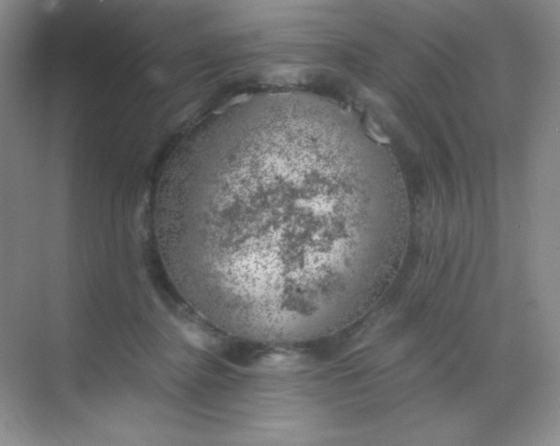 X0000068850364200605191957