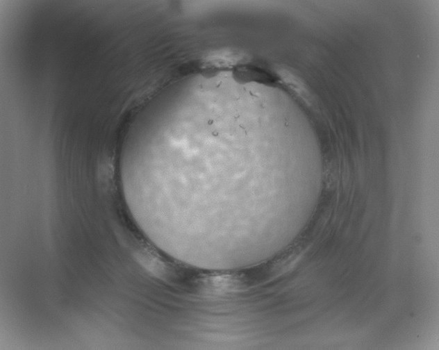 X0000068850365200605191957