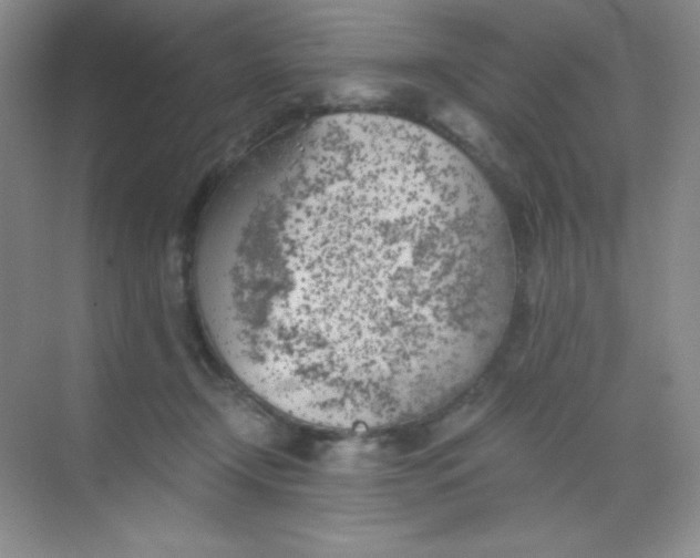 X0000068850366200605191957