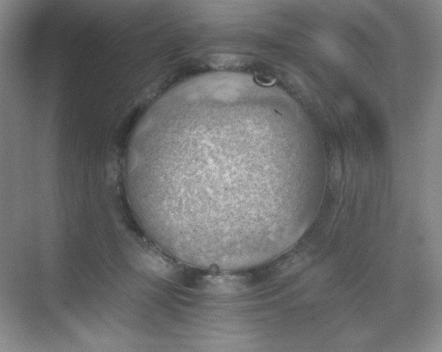 X0000068850367200605191957