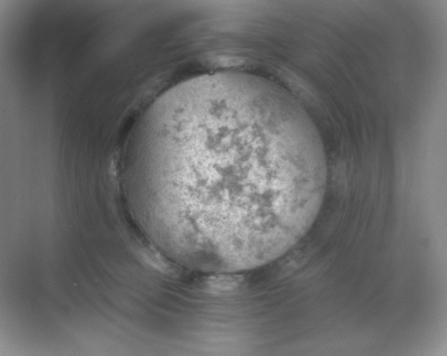 X0000068850373200605191957