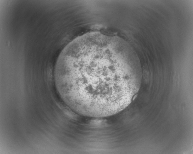 X0000068850375200605191957