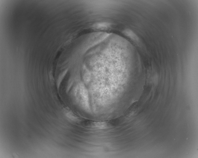 X0000068850377200605191957