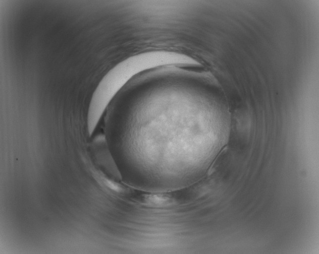 X0000068850380200605191957