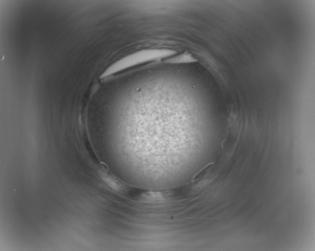 X0000068850381200605191958