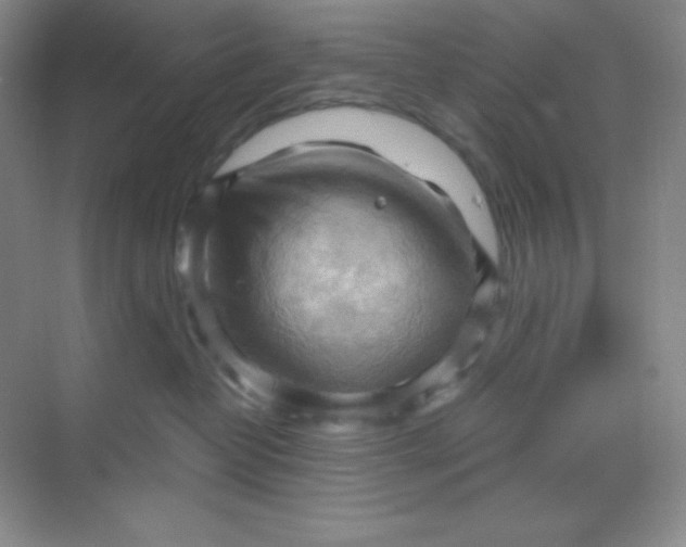 X0000068850382200605191958