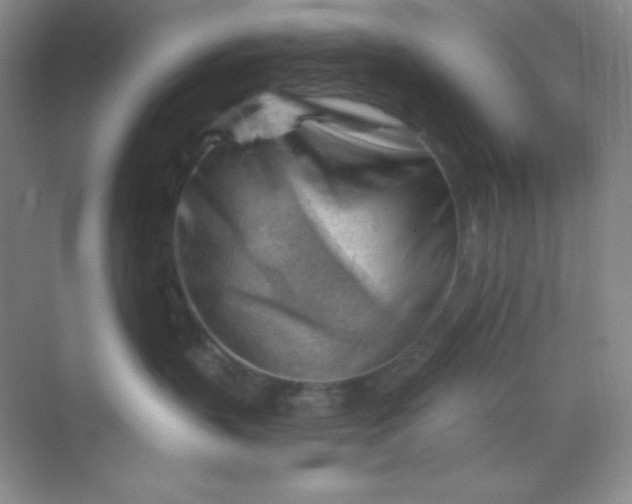 X0000068850383200605191958