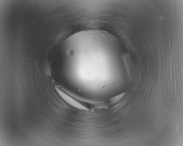 X0000068850384200605191958