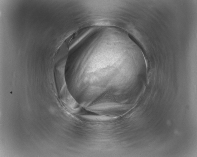 X0000068850385200605191957