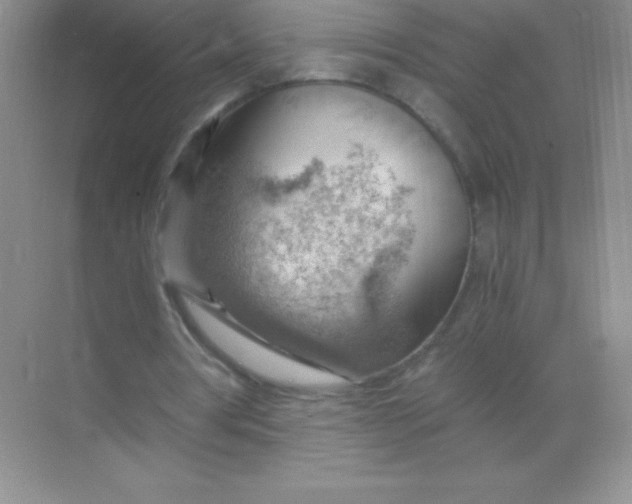 X0000068850386200605191957