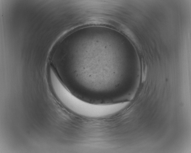 X0000068850387200605191957