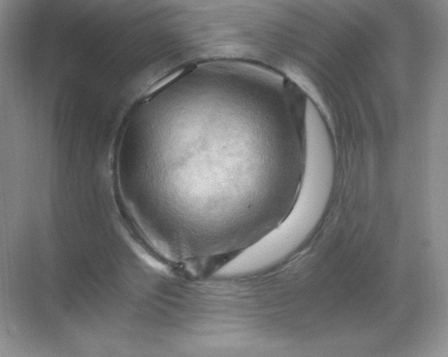 X0000068850389200605191957