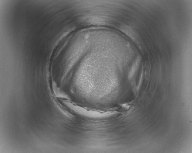 X0000068850390200605191957