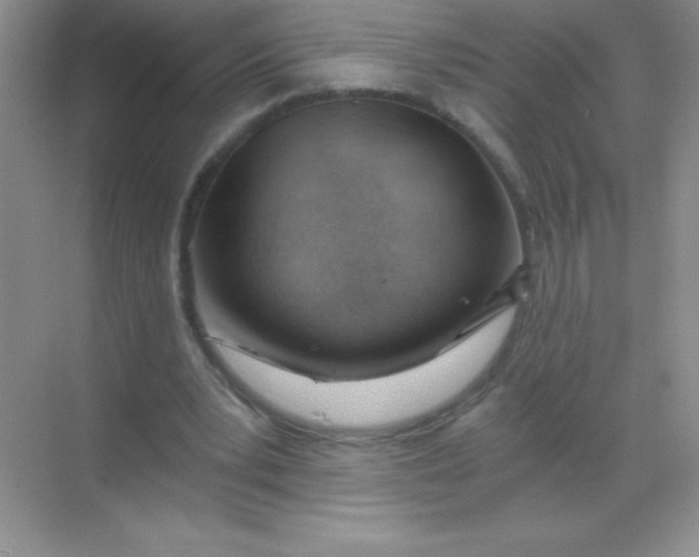 X0000068850391200605191957