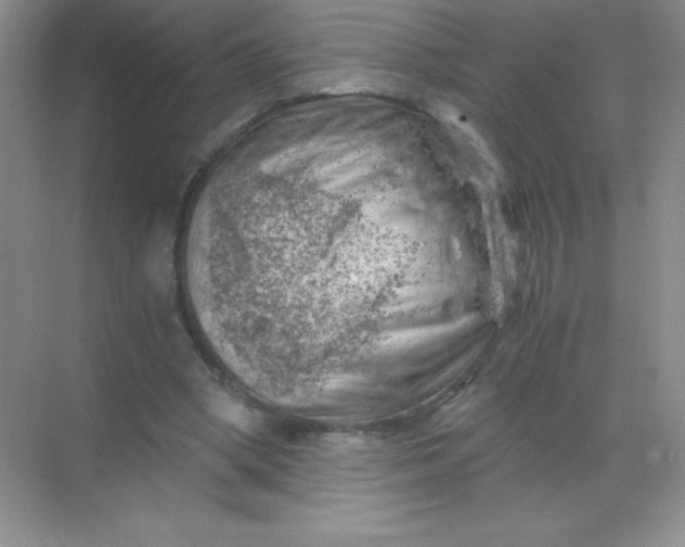 X0000068850394200605191957