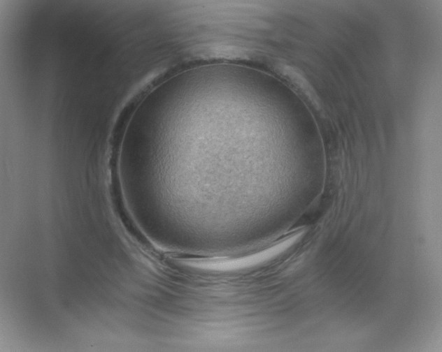 X0000068850395200605191957