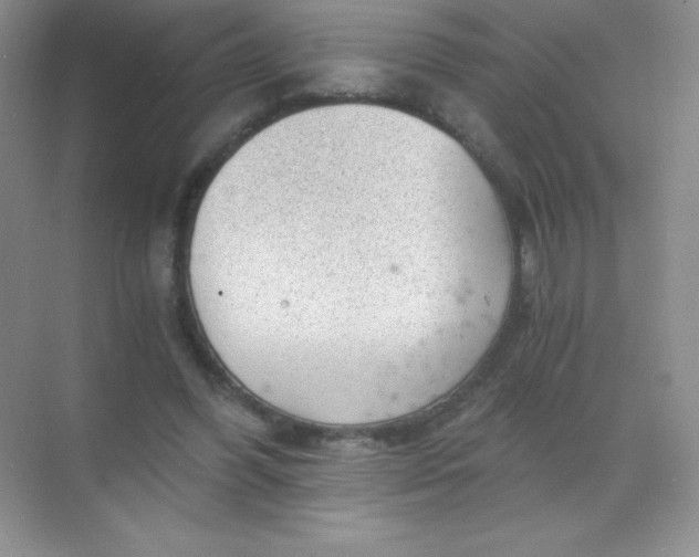 X0000068850396200605191957