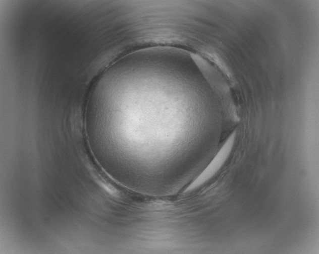 X0000068850397200605191957